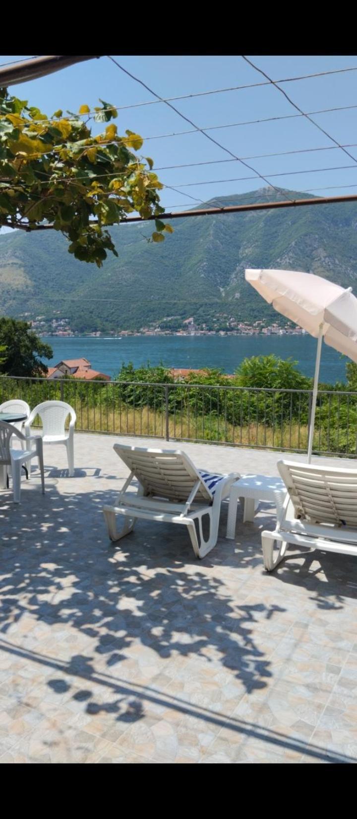 Apartment Deki Kotor Dış mekan fotoğraf