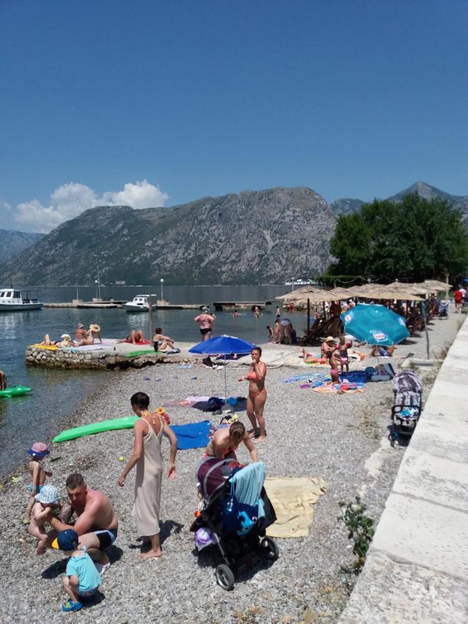 Apartment Deki Kotor Dış mekan fotoğraf