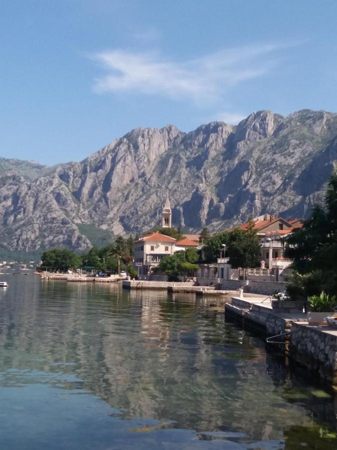 Apartment Deki Kotor Dış mekan fotoğraf